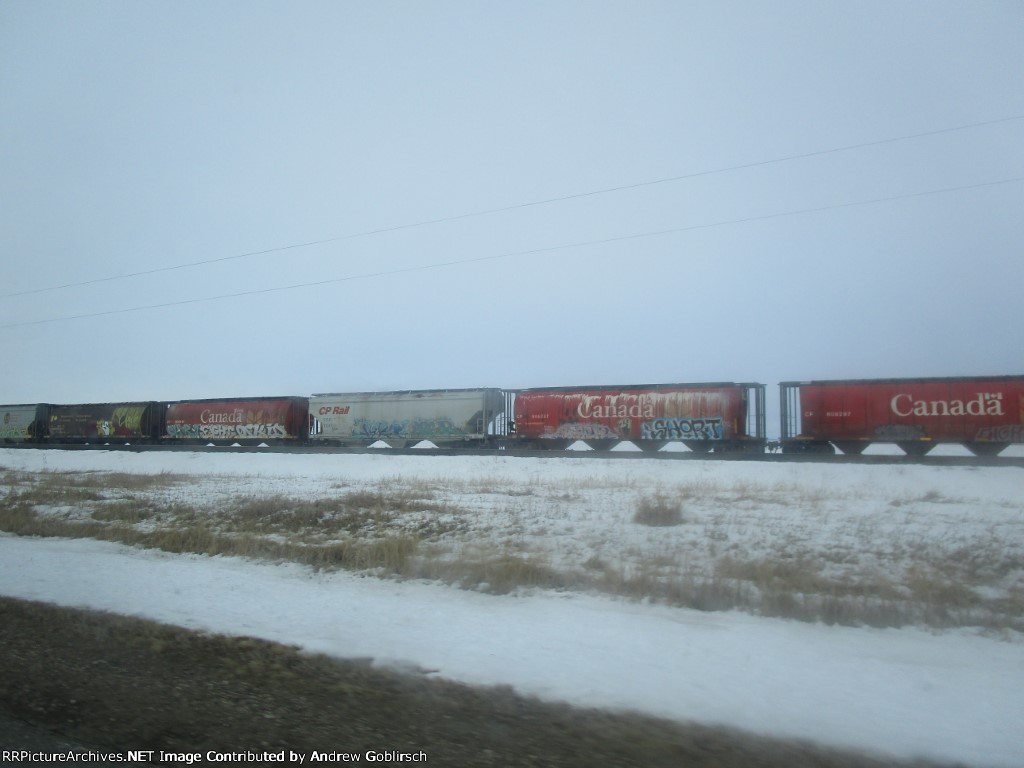 CP 606444, 606337, 608297 + SOO 113653